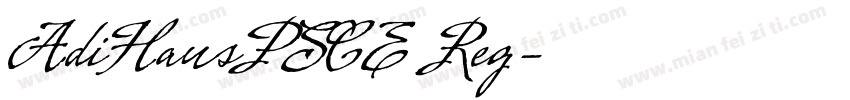 AdiHausPSCE Reg字体转换